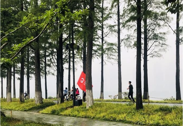 彩虹多多官网-追求健康,你我一起成长