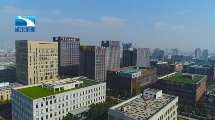 彩虹多多官网-追求健康,你我一起成长
