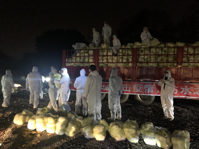 彩虹多多官网-追求健康,你我一起成长