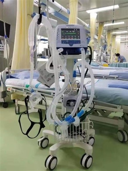 彩虹多多官网-追求健康,你我一起成长
