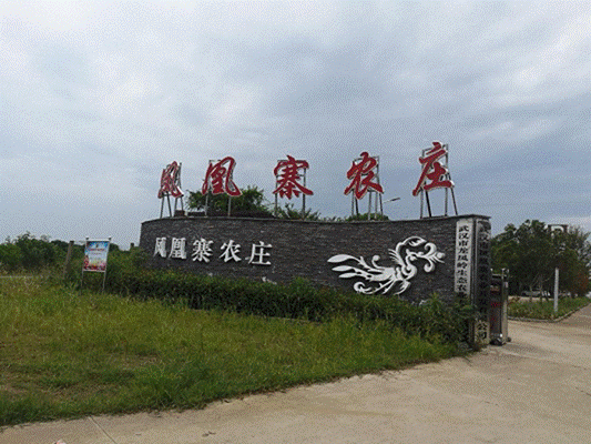 彩虹多多官网-追求健康,你我一起成长