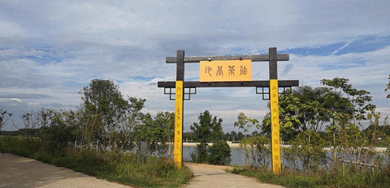 彩虹多多官网-追求健康,你我一起成长