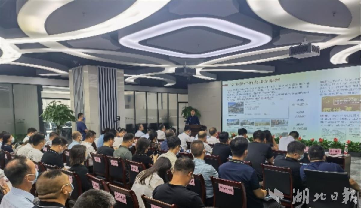 彩虹多多官网-追求健康,你我一起成长