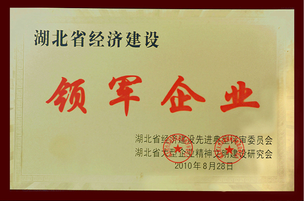 彩虹多多官网-追求健康,你我一起成长