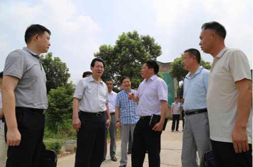 彩虹多多官网-追求健康,你我一起成长