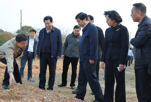 彩虹多多官网-追求健康,你我一起成长