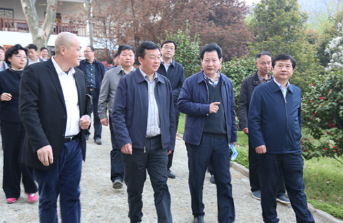 彩虹多多官网-追求健康,你我一起成长