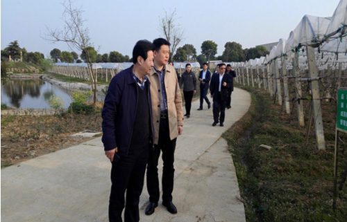 彩虹多多官网-追求健康,你我一起成长