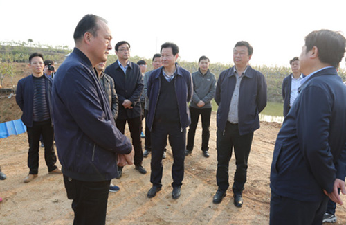 彩虹多多官网-追求健康,你我一起成长